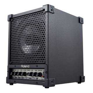 Roland CM-30 Cube Monitorspeaker