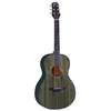 Fazley W120-PGR ColourTune akoestische gitaar groen met gigbag