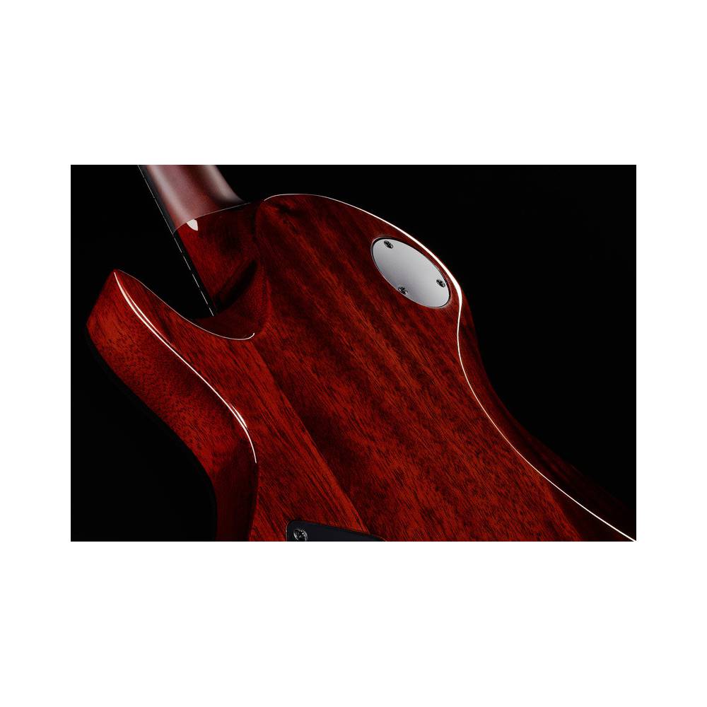 ESP LTD Deluxe EC-1001 Tiger Eye elektrische gitaar