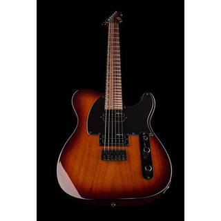 ESP LTD TE-200 Rosewood Tobacco Sunburst