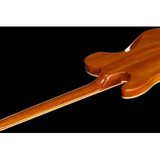 Fender Special Edition Custom Tele FMT HH Amber