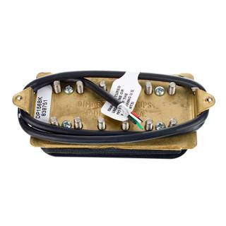 AKG CK62 ULS Professional Condenser Microphone Capsule