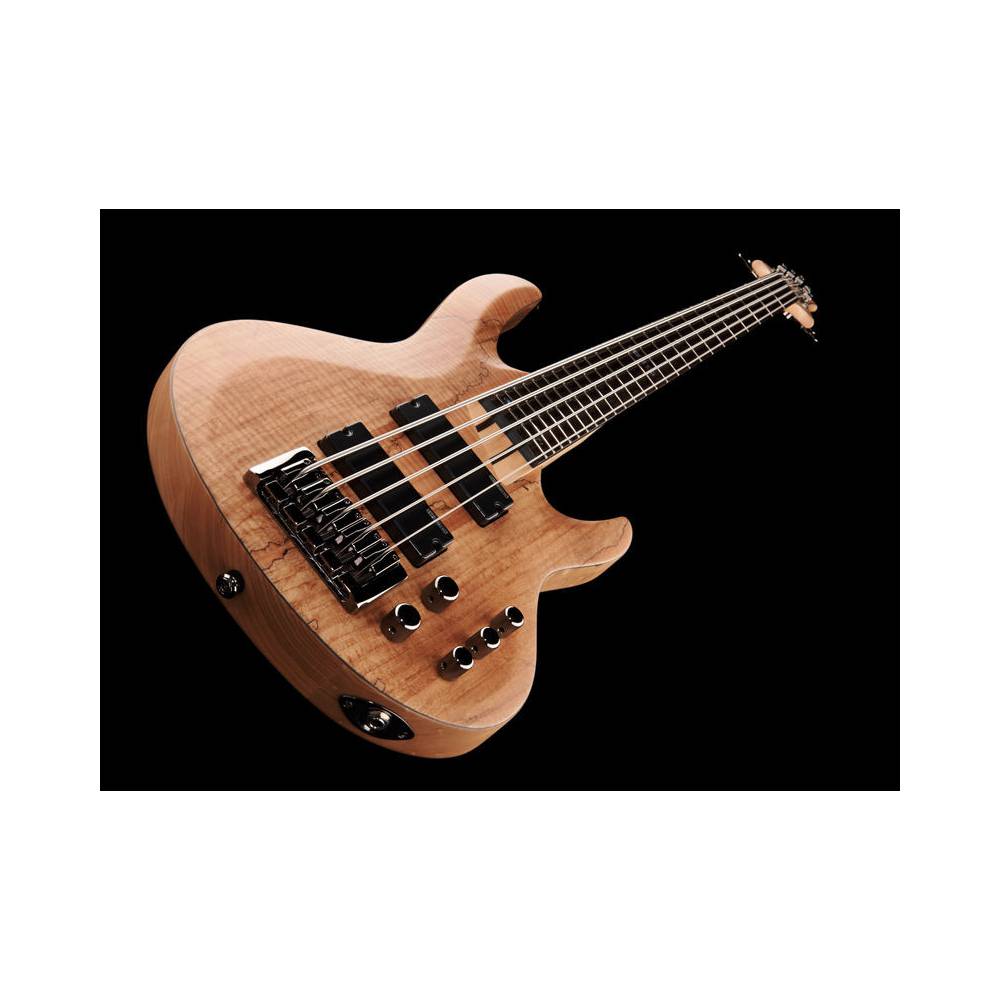 ESP B205 SM Spalted Maple Natural Satin