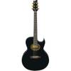 Ibanez EP5 Steve Vai Signature Euphoria Black Pearl