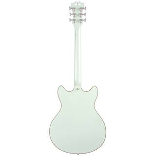 D'Angelico Deluxe DC LE Stopbar Sage semi-akoestische gitaar met koffer
