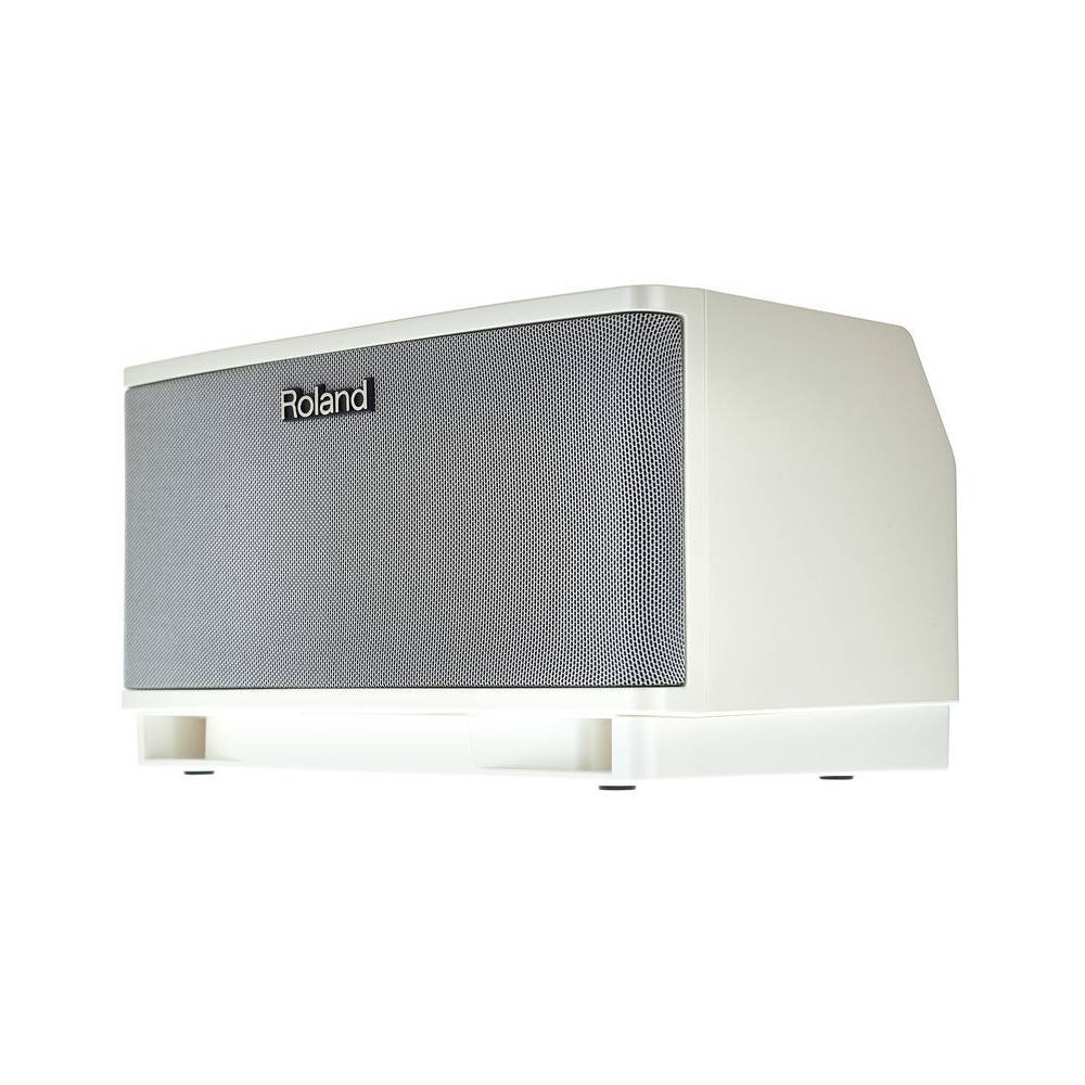 Roland Cube Lite Monitor instrumentversterker met iOS interface
