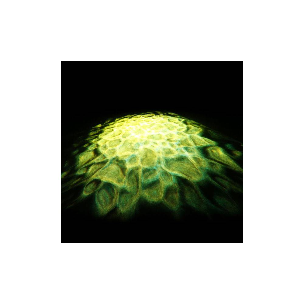 Cameo Scuba LED DMX watereffect