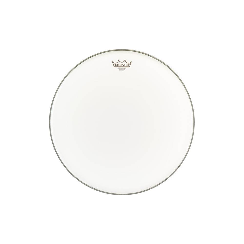 Remo Ambassador Renaissance Batter 18