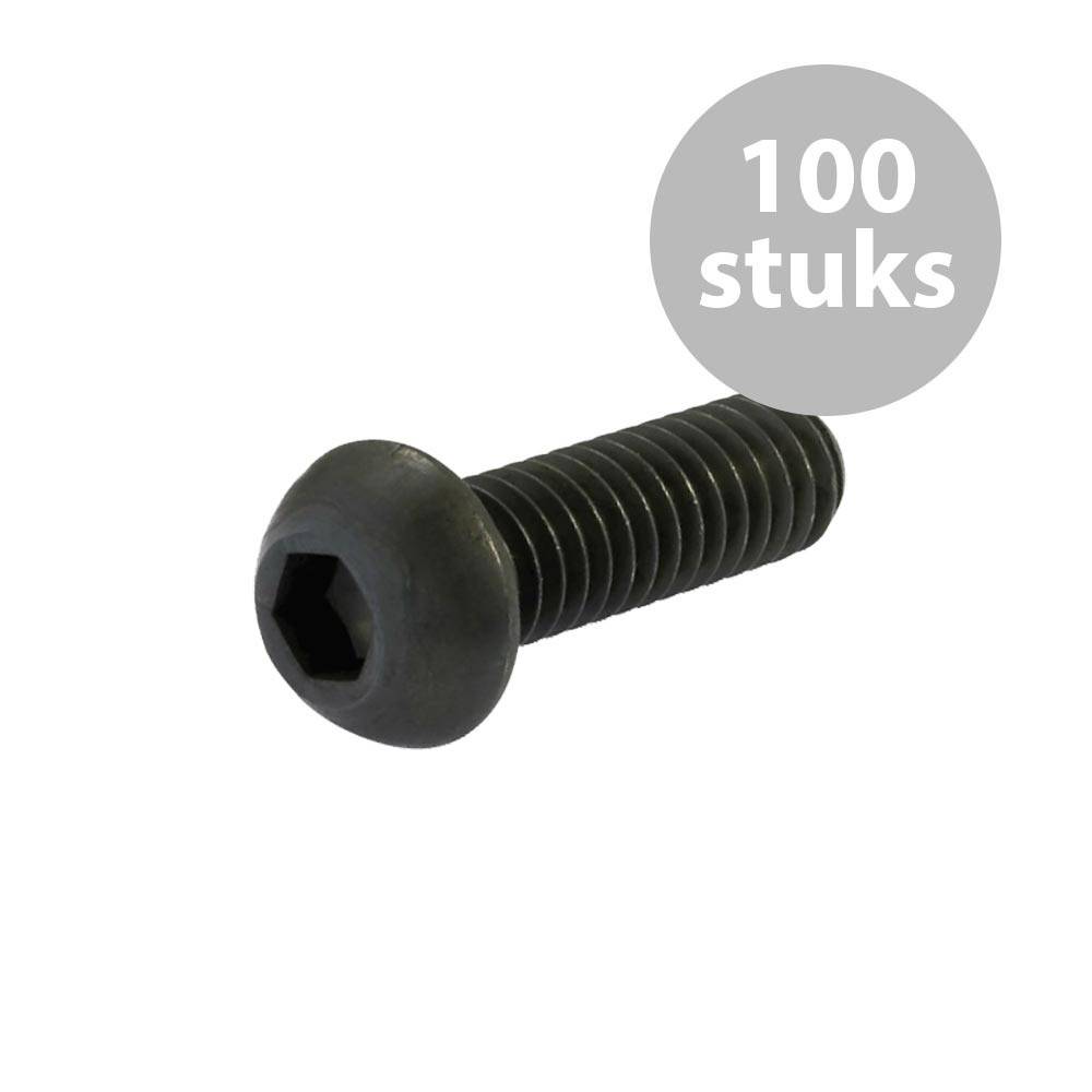 M3x10mm inbusboutje (10 stuks)