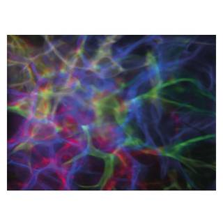 Showtec Dreamwave LED lichteffect