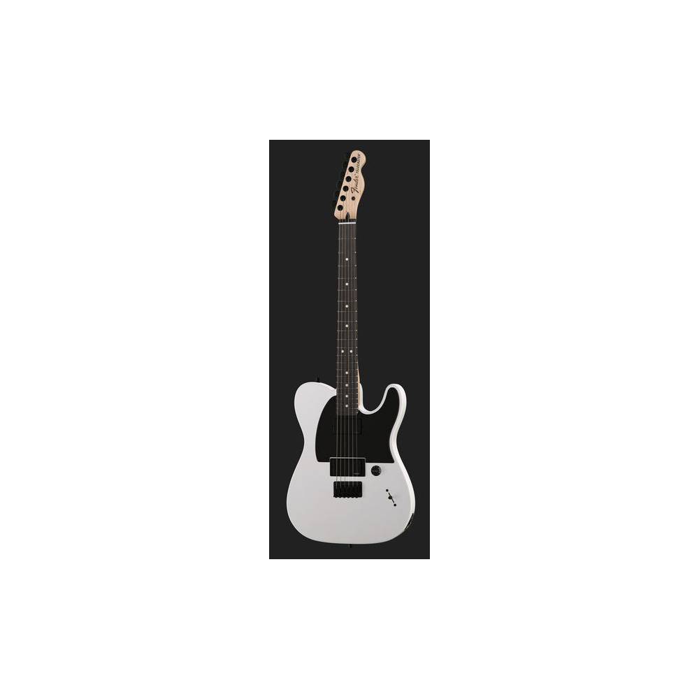 Fender Jim Root Telecaster Flat White EB
