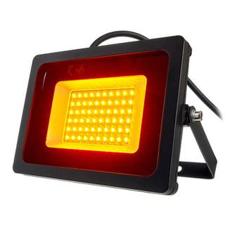 Eurolite LED IP FL-30 SMD outdoor lamp oranje