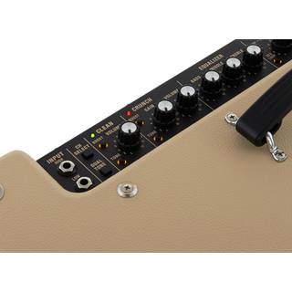 Roland Blues Cube Artist