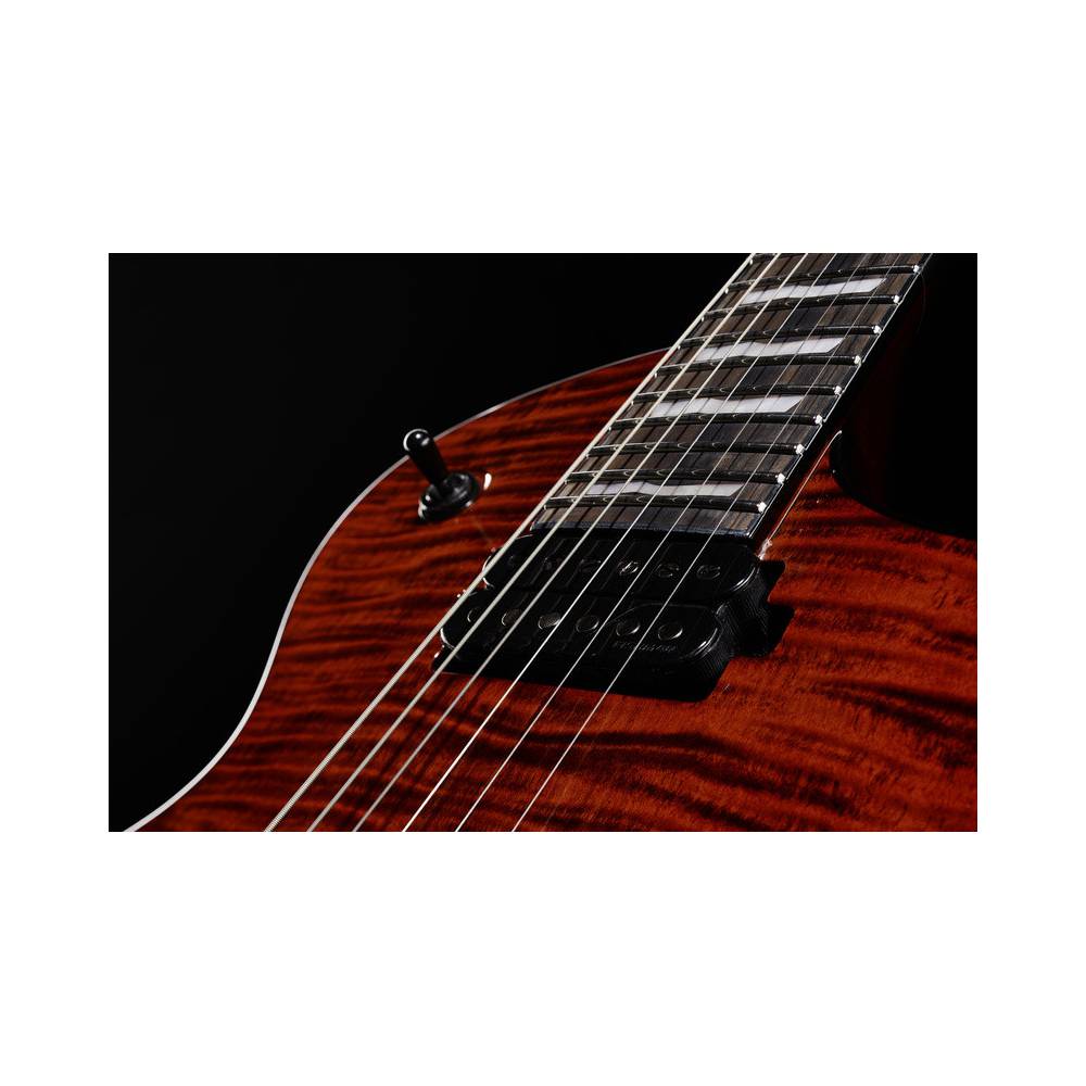 ESP LTD Deluxe EC-1001 Tiger Eye elektrische gitaar