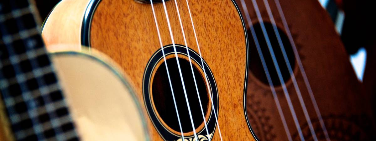 Een ukelele Hier moet je op letten [De 5 beste ukuleles dan 100 euro] - InsideAudio