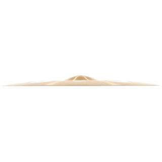 Meinl Byzance B16TTRC Traditional Trash Crash bekken 16 inch