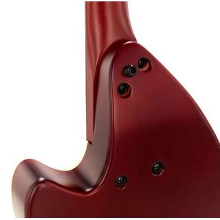 GODIN Multi Oud Encore Nylon Natural SG Fretless 11 string 