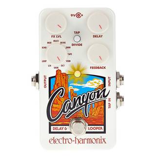 Electro Harmonix Canyon Delay & Looper pedaal