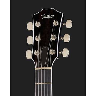 Taylor T5z Pro Pacific Blue