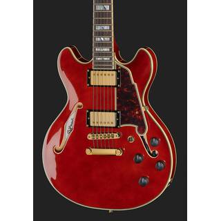 D'Angelico Excel Mini DC Viola semi-akoestische gitaar met koffer