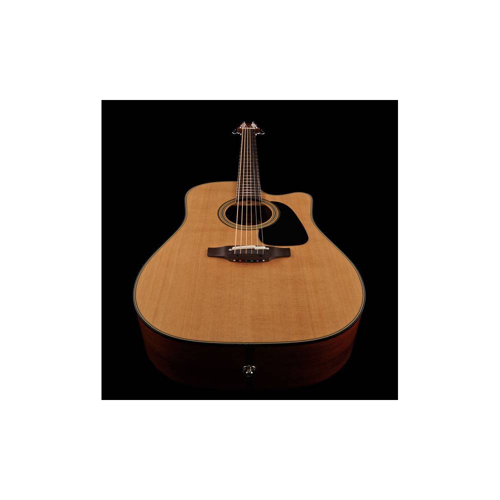 Takamine P1DC Dreadnought Cutaway