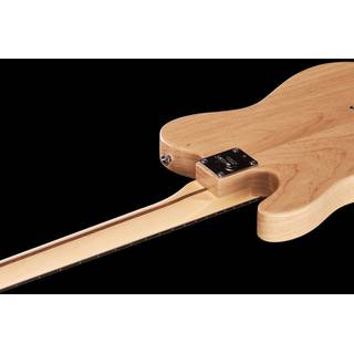 Fender American Professional Telecaster RW Natural