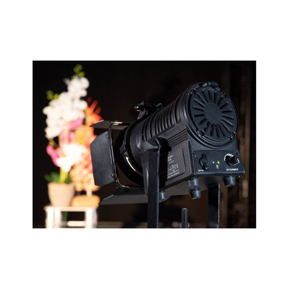 Eurolite AKKU THA-20PC theater spot