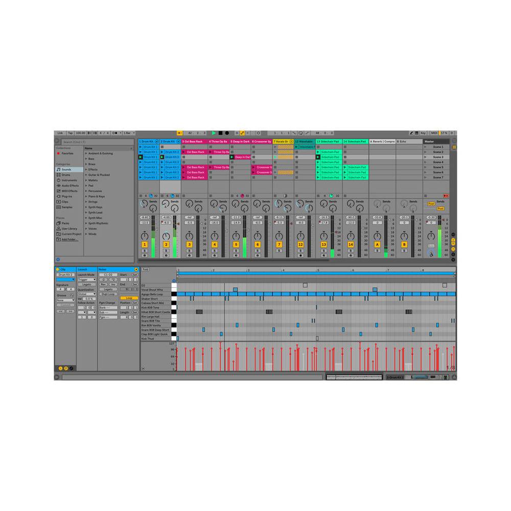 Ableton Live 10 Intro produceersoftware