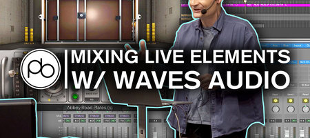 How to Mix Live Elements with Point Blank and Waves Audio