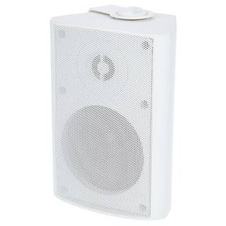 Visaton WB 10 White 4 inch fullrange speaker 100V/8 Ohm 60W
