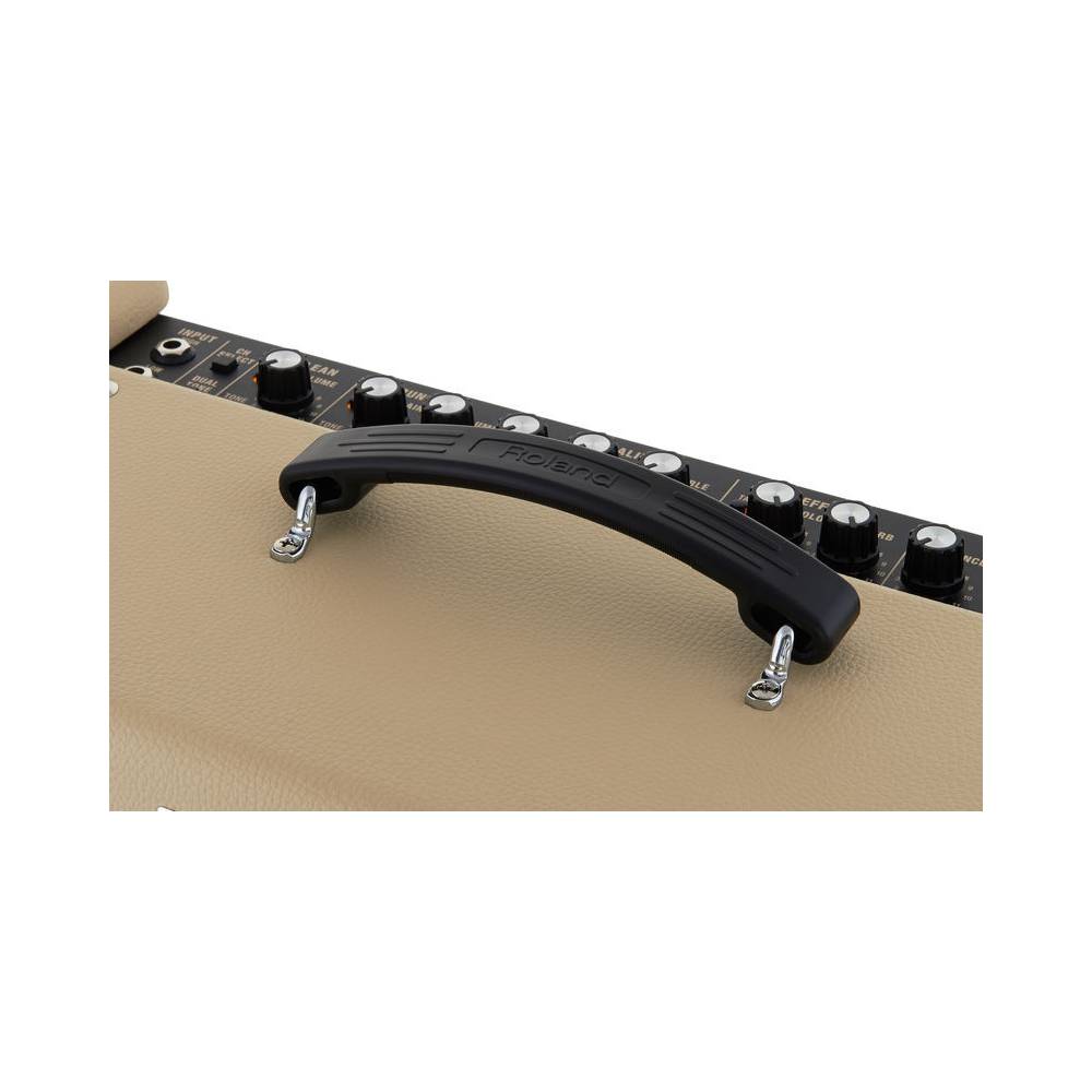 Roland Blues Cube Artist