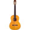 Cordoba Dolce Iberia 7/8-formaat klassieke gitaar