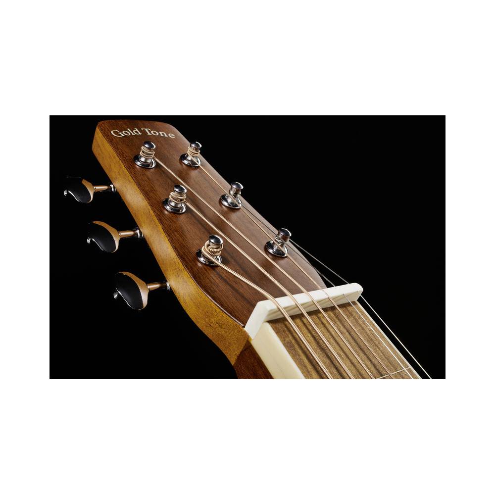 Gold Tone GT-Weissenborn lap steel gitaar