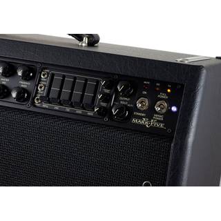 Mesa Boogie Mark V Combo