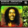 Ricatech Reggae Sensation LP