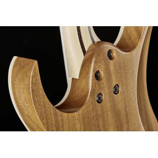 Ibanez RG5121 Burgundy Metallic Flat elektrische gitaar met koffer