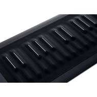 ROLI Seaboard RISE 25