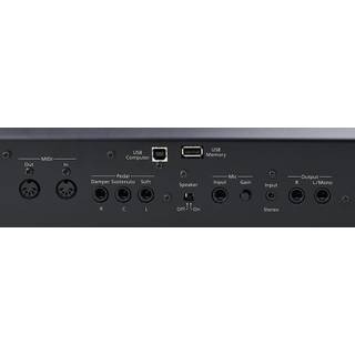 Roland FP-90X digitale piano zwart