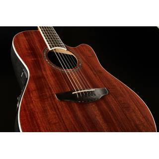 Ovation CS24P-FKOA Celebrity Standard Plus Figured Koa