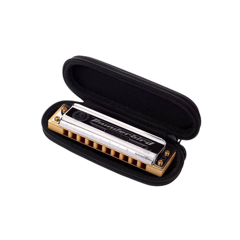 Pettine Bambù Armonica Hohner Marine Band Thunderbird D-Low - Ottava Inferiore, Pettine In Bambù, Per Blues E Rock 20 Canne Germania - 5