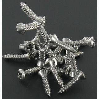 Fender slagplaat schroeven chroom (24 stuks)