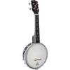 Gold Tone Banjolele banjo-ukelele inclusief draagtas