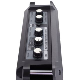 Roland Mobile Cube draagbare luidspreker voor instrumenten