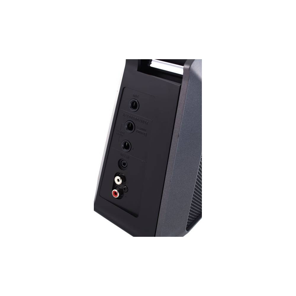 Roland Mobile Cube draagbare luidspreker voor instrumenten