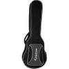 Epiphone Dread/AJ Acoustic EpiLite Case gitaar softcase zwart