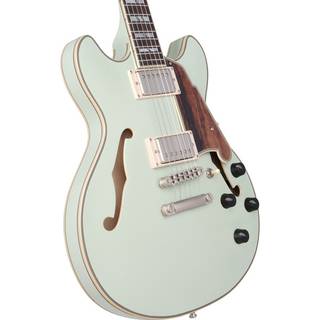 D'Angelico Deluxe Mini DC LE Stopbar Sage semi-akoestische gitaar met koffer