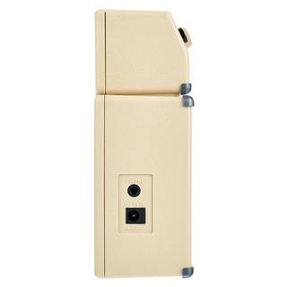 Fender Mini Tone Master