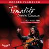 Savarez Tomatito T50R Normal Tension flamenco snarenset