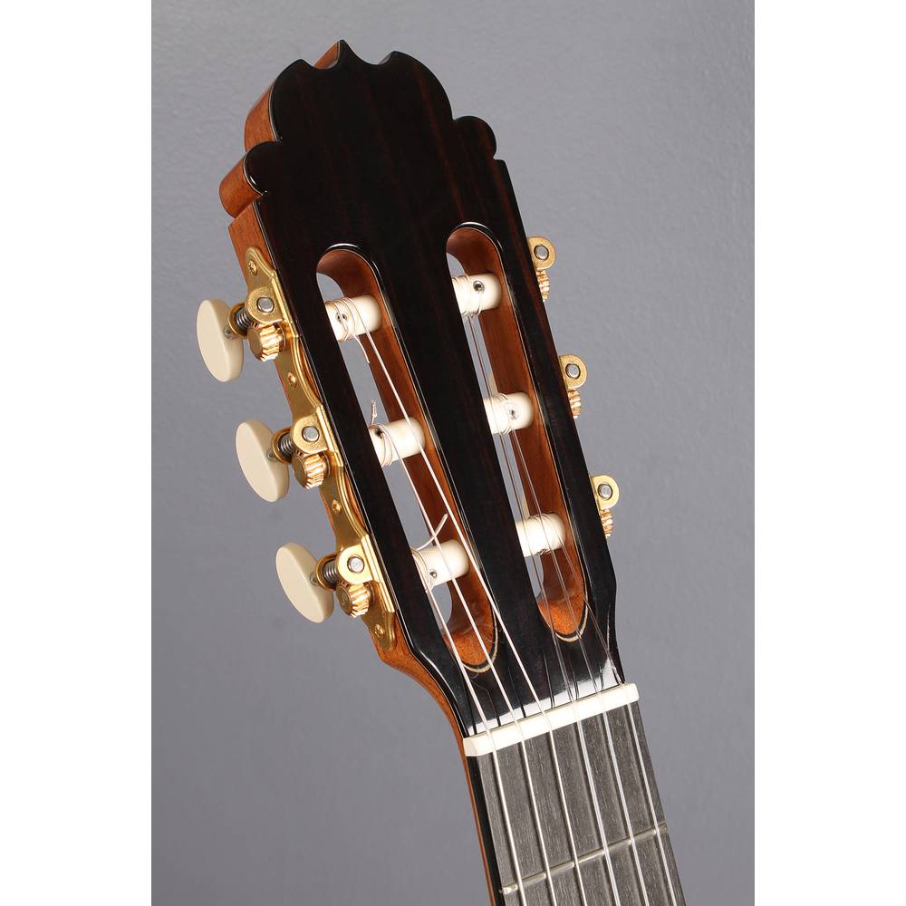ALHAMBRA MONTCABRER GLE   CASE (9650) - 299