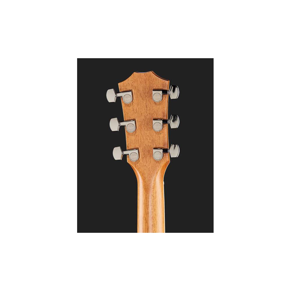 Taylor 856ce